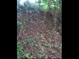 Pinoy Luring Forest